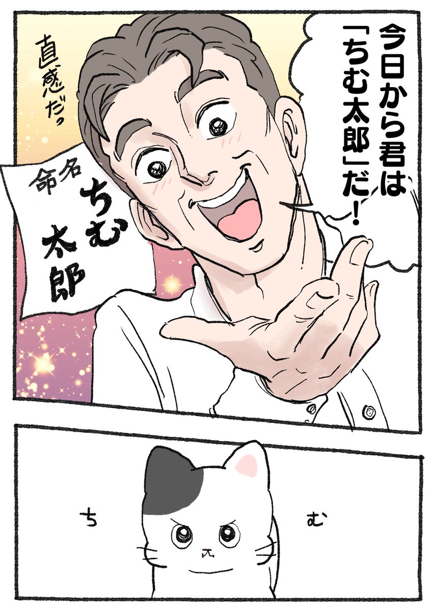 ねこに転生したおじさん。その725