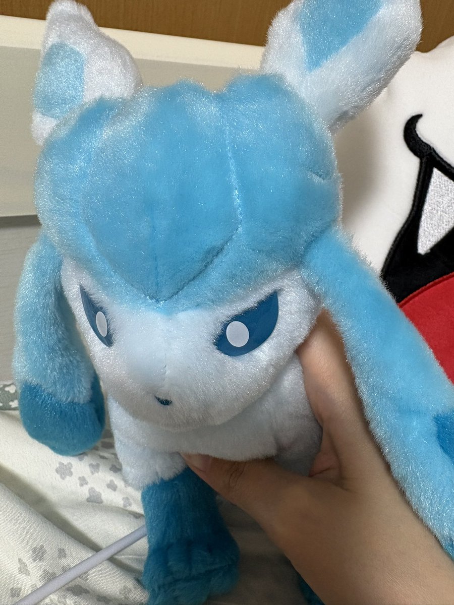 Louis__Rice's tweet photo. 最近迎え入れてしまった子、、はじめてのぽけちゃんです、、かわいい🤦🏻 https://t.co/MHYe8SFqgb