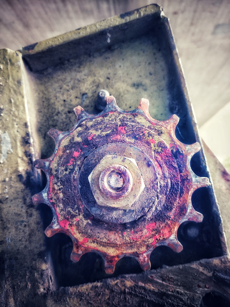 Dirk Schulte
Stillleben mit Sonne
2025