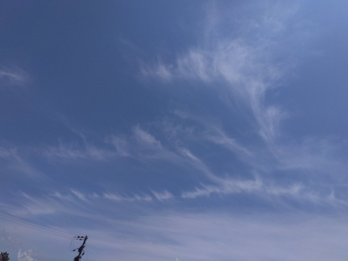 Ocokela's tweet photo. @realDonaldTrump
@RobertKennedyJr
@elonmusk
Today, a lot of chemtrails like Agent Orange are being sprayed over Shiga Prefecture in Japan, please stop them as soon as possible! https://t.co/DawAPsRc6b