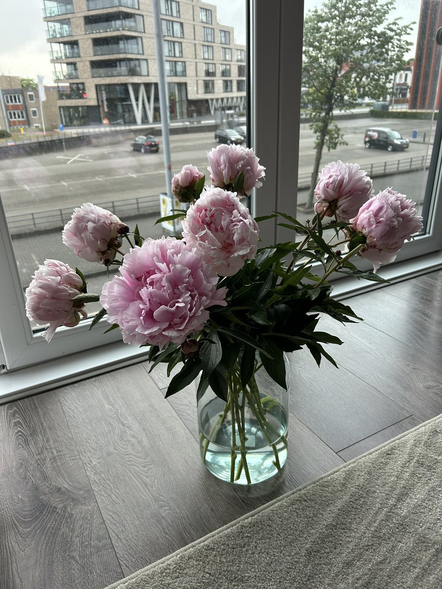 Ineke Vonk tweet media