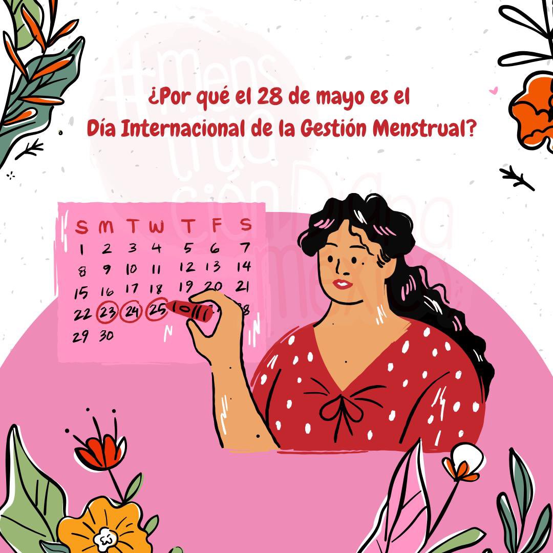 #MenstruaciónDignaMéxico tweet media