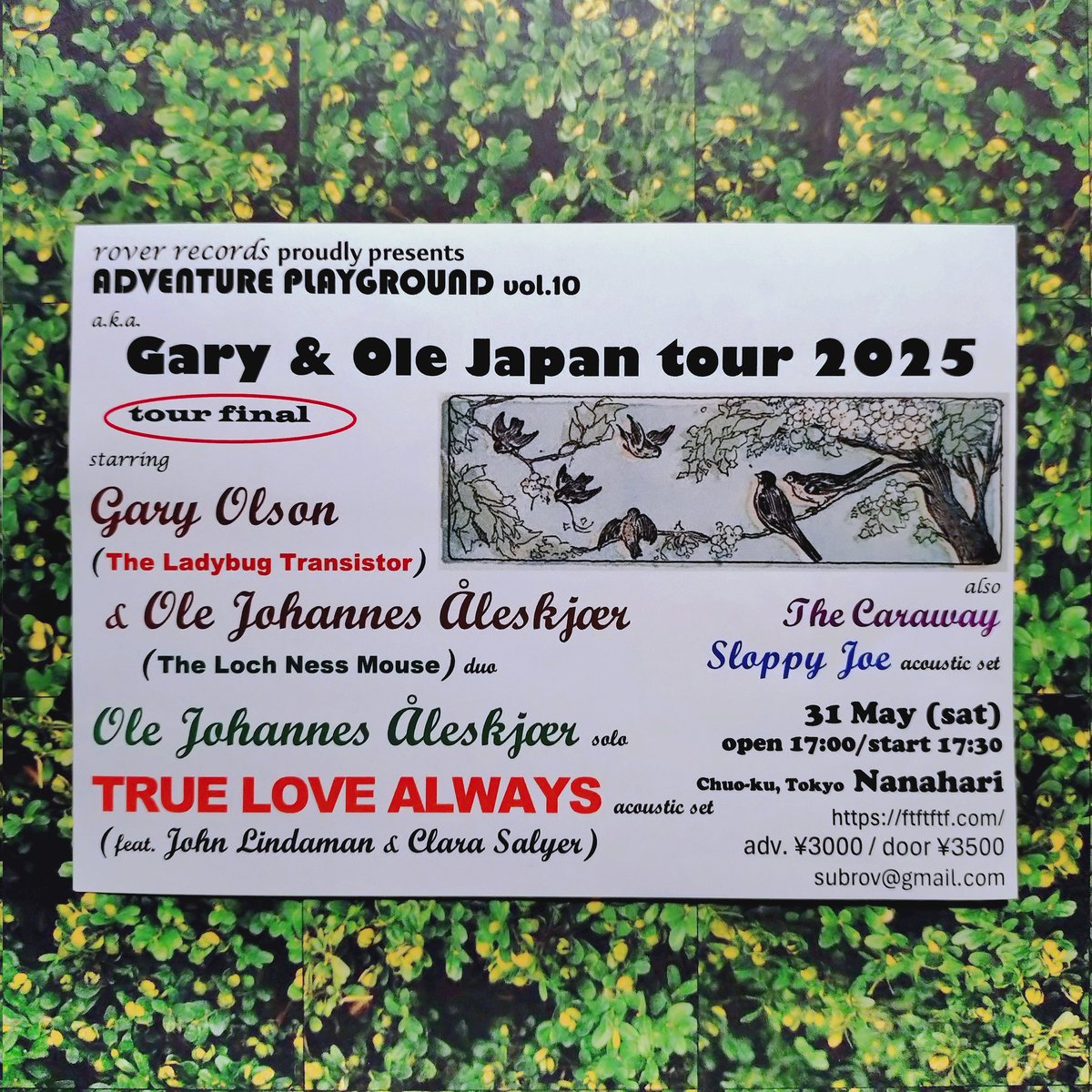 CarawayThe's tweet photo. 昨日の奈良も盛り上がったご様子♪明日は高松ですね♪
そしてツアーファイナル東京は七針にて開催です！
ソールドアウトですが、
来られる方はどうぞ宜しくお願い致します😊🙇🏻‍♂️
#garyolson #ole #truelovealways #japantour2025 https://t.co/yvUx1hZ6CQ