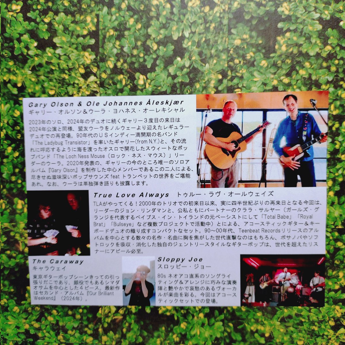 shimatch036's tweet photo. 昨日の奈良も盛り上がったご様子♪明日は高松ですね♪
そしてツアーファイナル東京は七針にて5/31開催です！
ソールドアウトですが、
来られる方はどうぞ宜しくお願い致します😊🙇🏻‍♂️
#garyolson #ole #truelovealways #japantour2025 https://t.co/l0bfbwfmRe