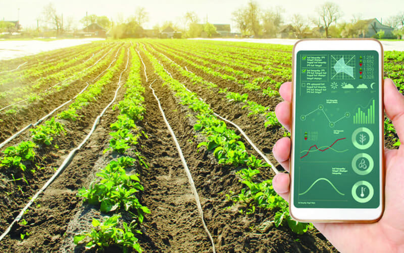 VeriFarmGlobal's tweet photo. We are bringing Web3 innovation to the heart of agriculture by using smart contracts to revolutionize how we verify and control the quality of crops
🔗 Automated Verification
🛡 Tamper-Proof Records
💸 Performance-Based Payments
👨‍🌾 Consumer Trust &amp; Transparency
#RWA #vfarm https://t.co/qF9DaZC88v