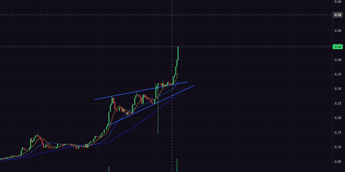 Bad Bunnz tweet media