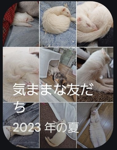 気ままな友だち　いいタイトル☺