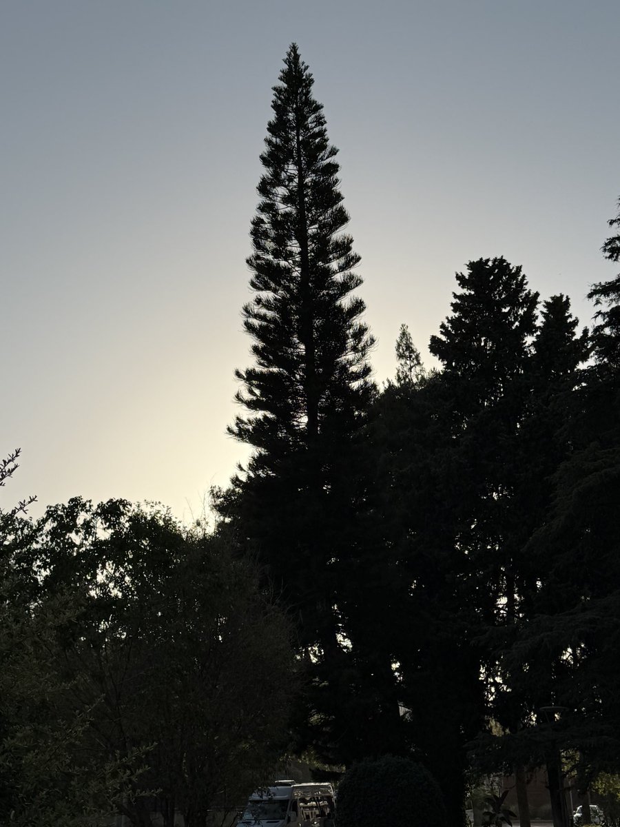 İkram ÇELİK (@ikramcelik2) on Twitter photo 