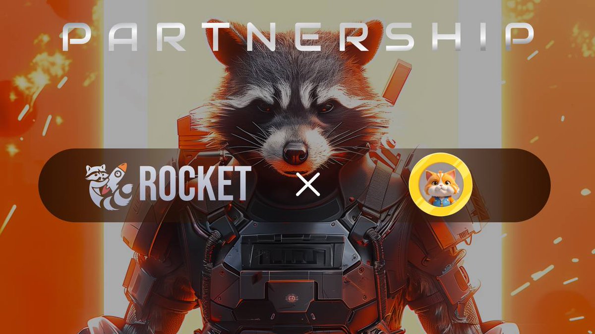 🦝Rocket | Launchpad tweet media