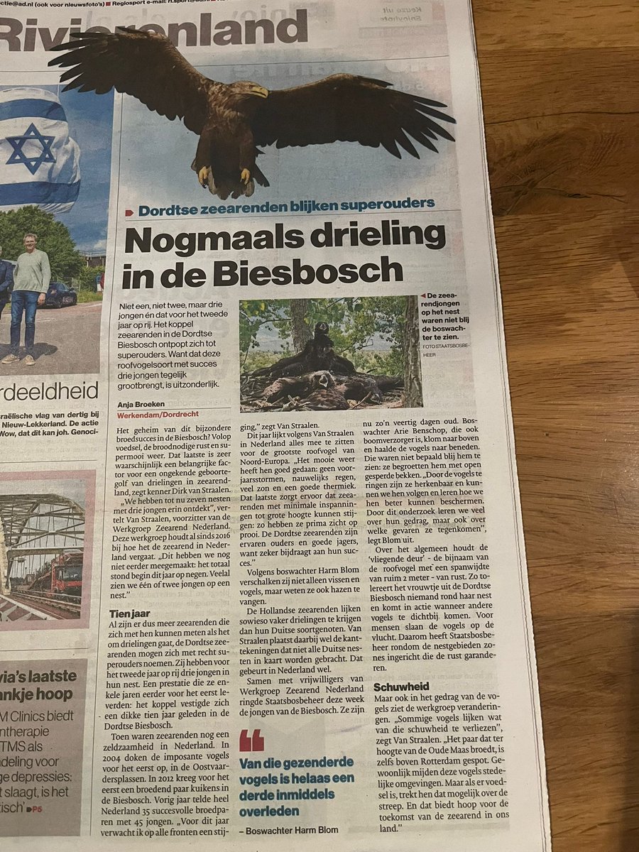 Zeearendennieuws! Ongekende golf aan drielingen bij Nederlandse zeearenden. 🥳