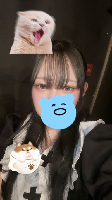 Dorthy ドロシーのツイート