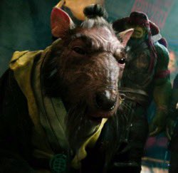 The_Wave_Web's tweet photo. @DanielRegha allegedly Teenage Mutant Ninja Turtle Dad while taking a shower.

Let Shifu Out Now! https://t.co/NstOgKGz7x