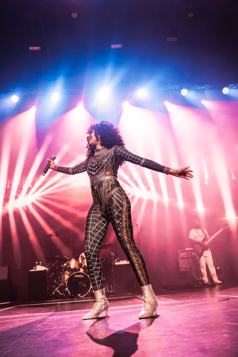 Lo-Fi Entertainment tweet media