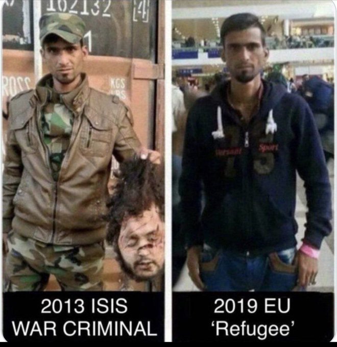 CryptoShark tweet media