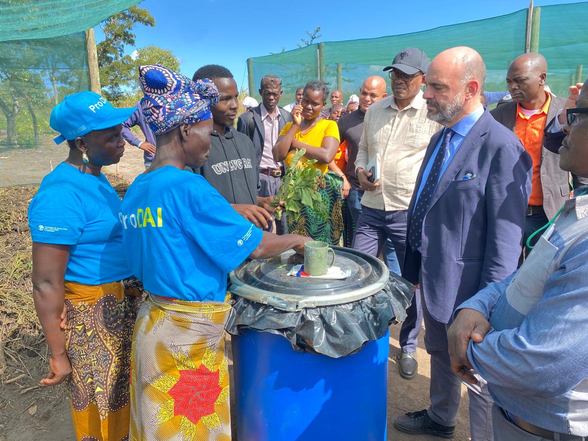 FAO Mozambique tweet media