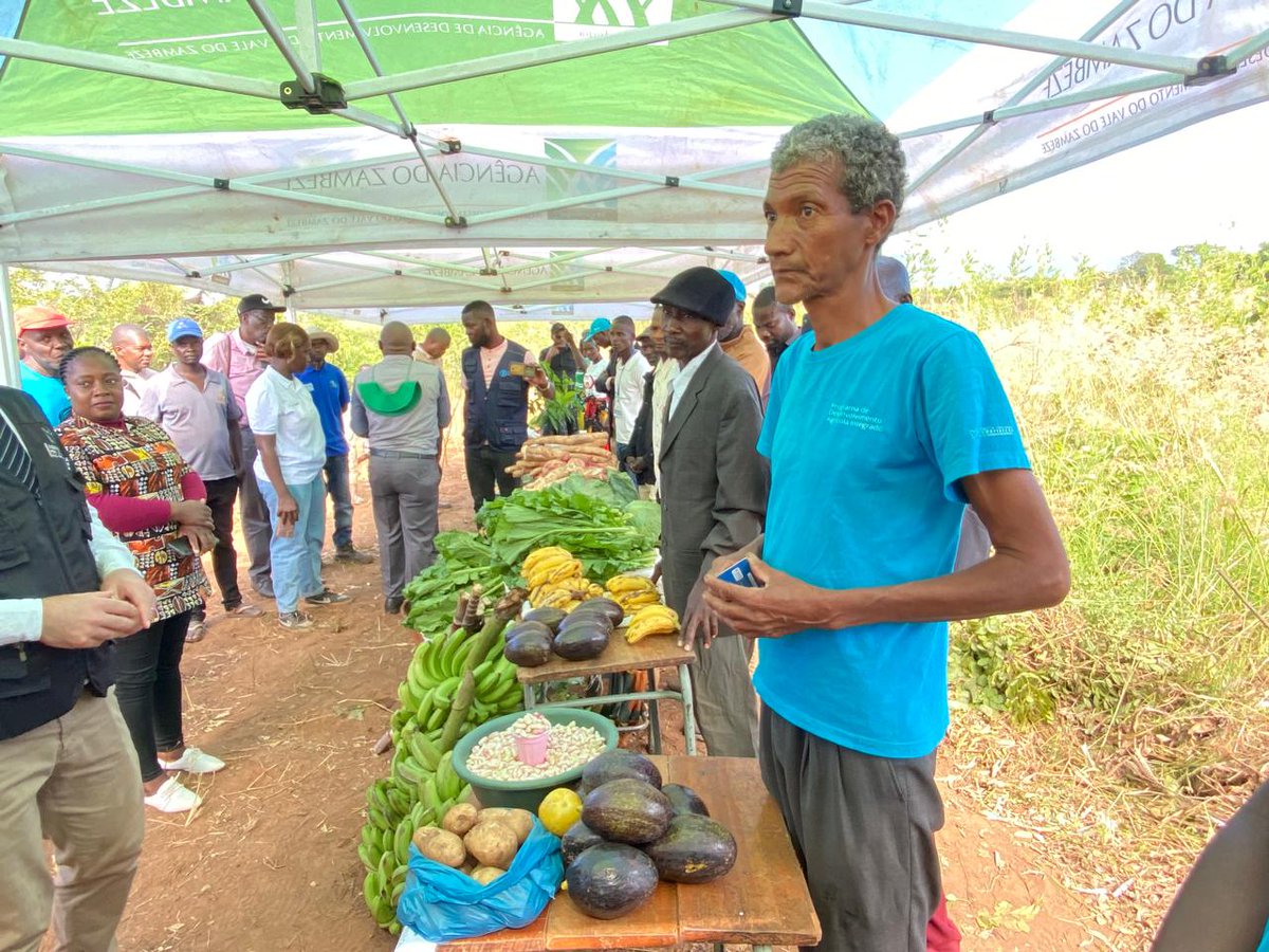 FAO Mozambique tweet media