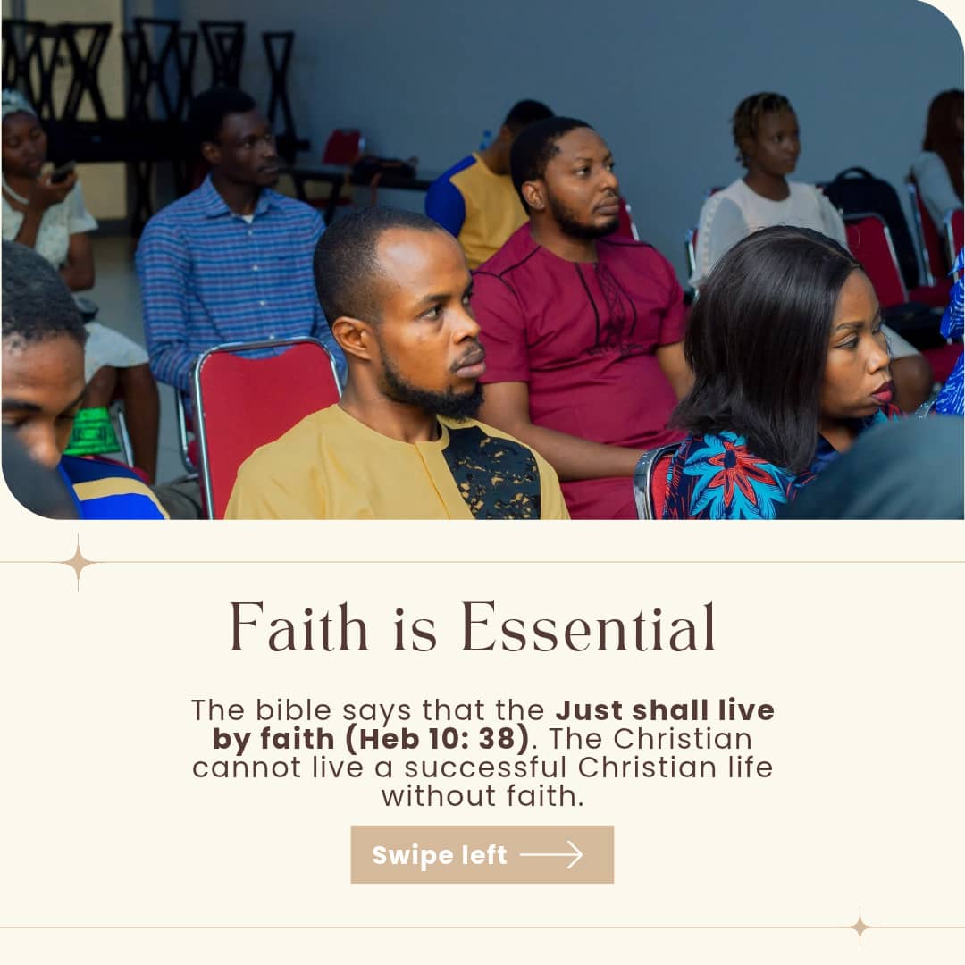 ScriptureCity Church tweet media