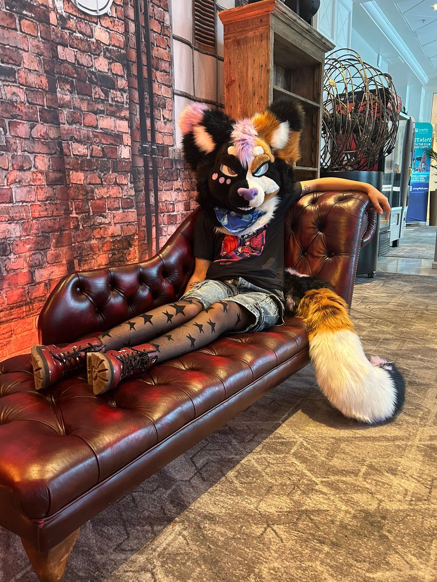 asterinthestars's tweet photo. So long Confuzzled!!

I had such an amazing time, it was the best first cfz ever!!! Thank you to everyone who’s made this the best time ever :D

If anyone has any photos/photos of me pretty please send them over! :3 #cfz2025 https://t.co/tCFrkozvpf