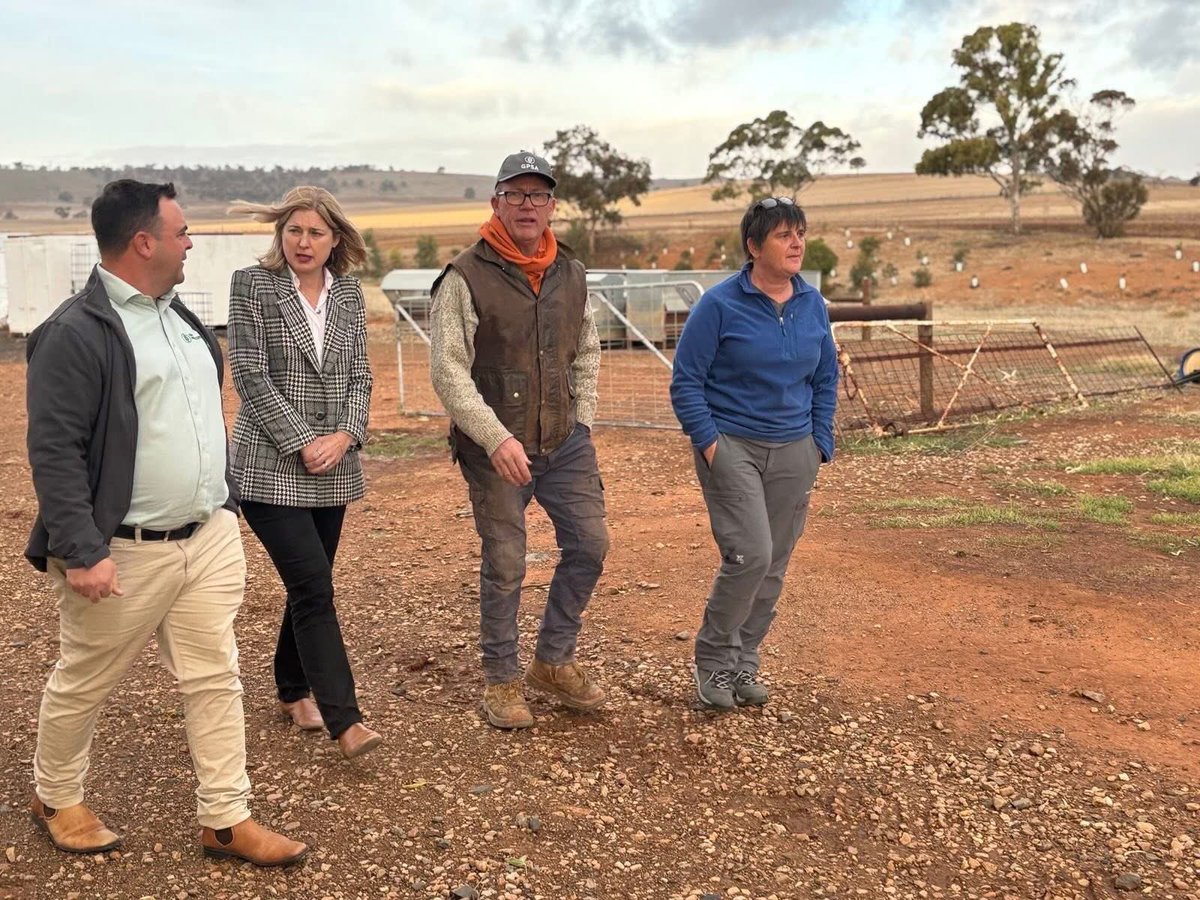Grain Producers SA tweet media