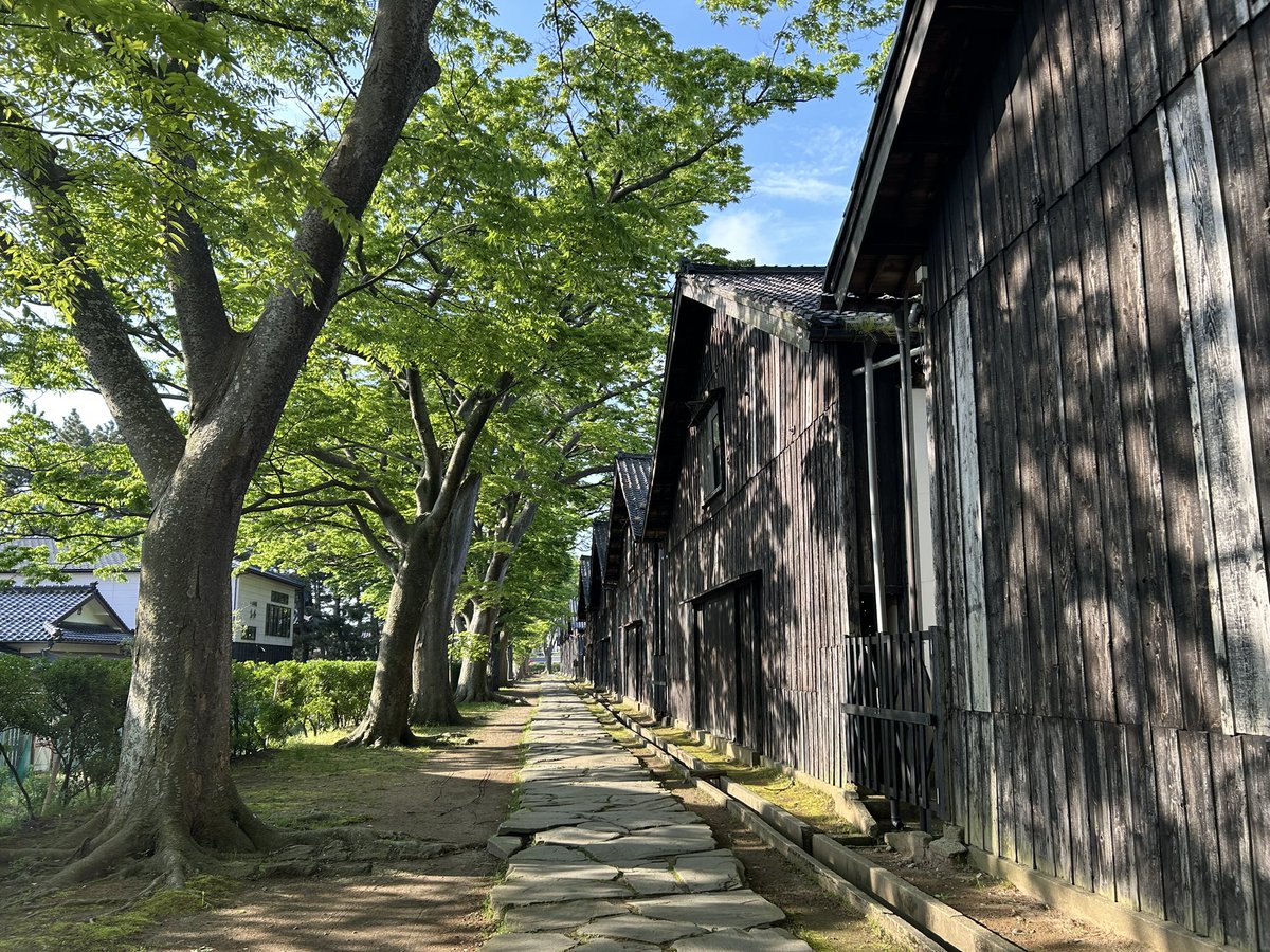 aravagolf18's tweet photo. 【旅路】神戸→京都→四日市→岡崎→名古屋西区→岐阜→セントレア→仙台→山形→酒田→仙台→東京

酒田にて、本間美術館で歴史に浸る。
本間光丘、日本海航路を拓き京都へ米を直接届けた背景に専用輸送船の開発という技術革新。
本当の付加価値は、水面下に。 https://t.co/42xKCzXLWK