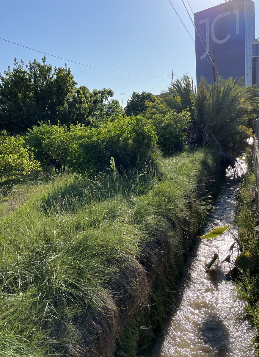 🍋 La Acequia Alfatego lleva ahí al menos 700 años.

No seremos capaces de entubarla y construir encima cuando llegue el próximo plan parcial, ¿verdad?