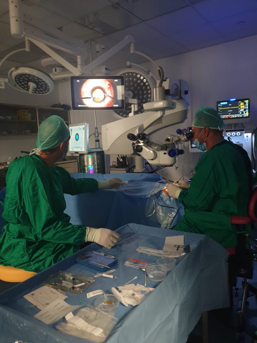 Chairman & CEO of SJEHG tweet media