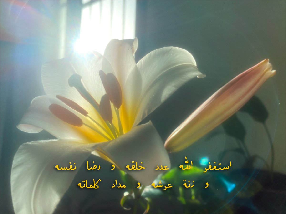 taio5_'s tweet photo. ً https://t.co/6Znpph7Fmj