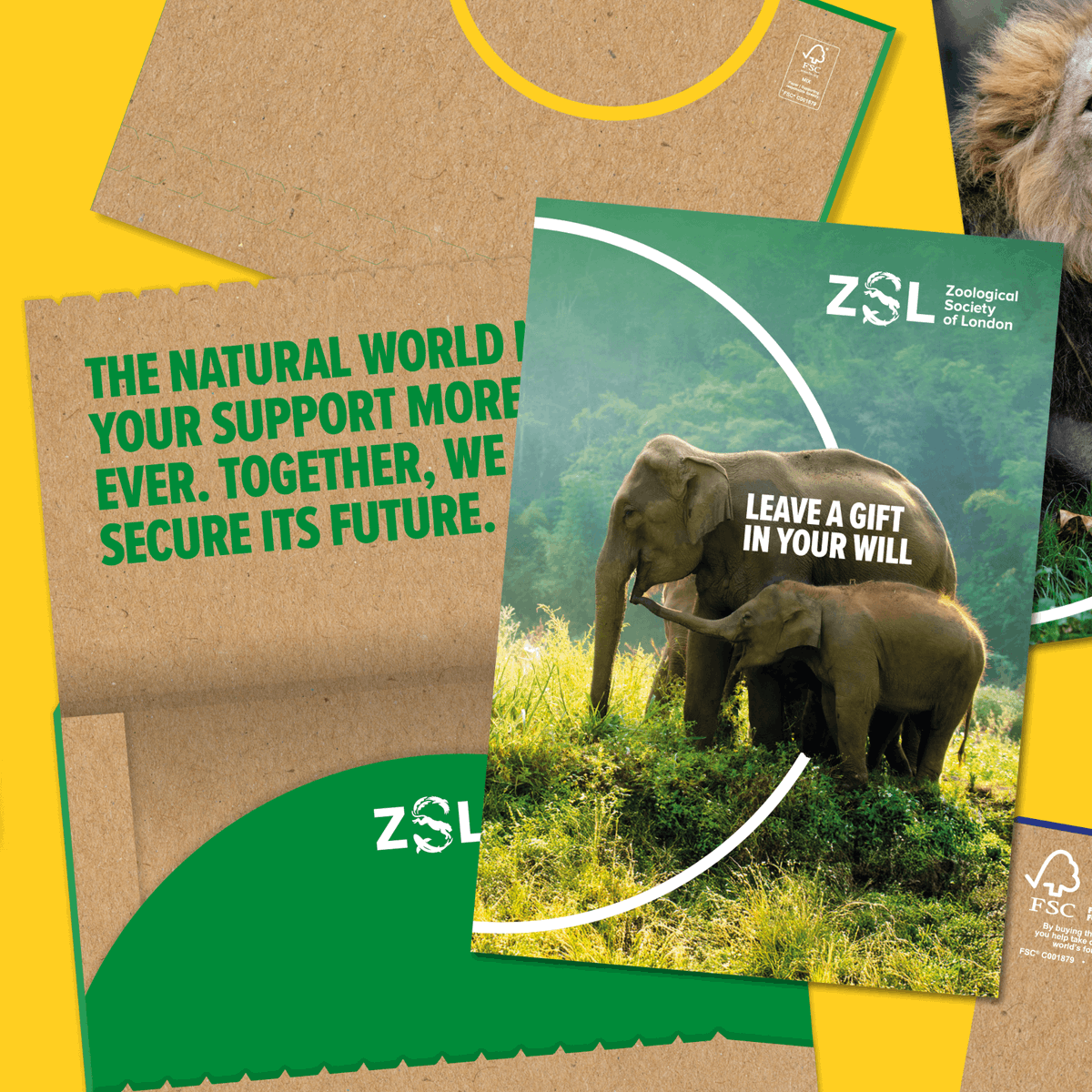Thrilled to partner with Zoological Society of London (<a href="/OfficialZSL/">ZSL</a>) to develop their new supporter journey 🐯

#LondonZoo #ZSL #welcomepacks #ConservationCharity #LoveYourZoo #creativeproduction #creativedesign #AlliesForWildlife