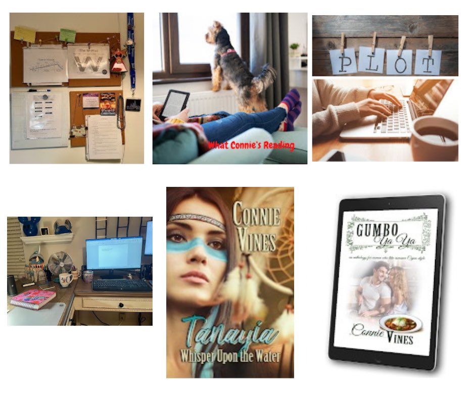 My Favorite and My Not-So-Favorite-Point-of-View By Connie Vines #ConnieVines #BWL #author #blogger 

bwlauthors.blogspot.com/2025/05/my-fav…