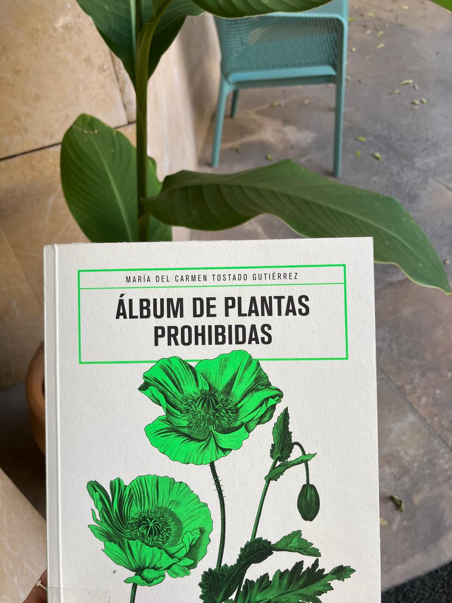 🌿A la #BibliotecaBotànicUV està l'Álbum de plantas prohibidas, on es mostra 50 espècies prohibides al nostre país segons llistat publicat al Boe  el 6 de febrer de 2004. L'autora ha fet aquesta mena d'herbari on conta les propietats mortíferes però també d'altres. #llegeixnatura
