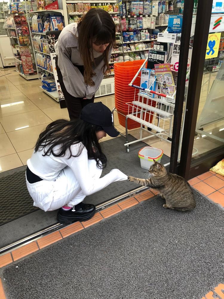 Re:TOKYO MEMORY (@ret0ky0) on Twitter photo 