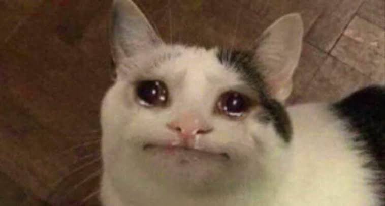 My reaction to The Wizard Liz getting cheated on (I’m 6’3 btw)