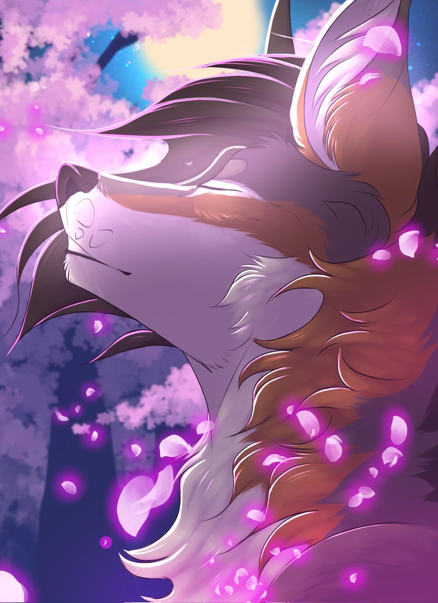 Fluffy!