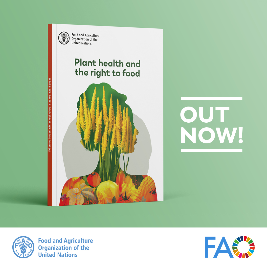 🌾 No healthy plants, no adequate food. 🌱

 The #RightToFood depends on a clean, healthy and sustainable environment—and environmentally sound management of pest .

Find out why it matters 👉 bit.ly/43skBD5

#PlantHealth 🌱