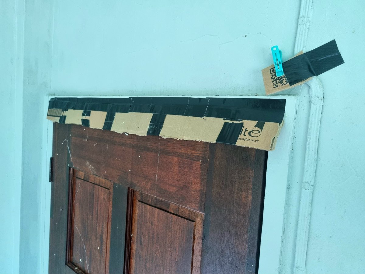thereal_jayhay's tweet photo. Meanwhile at ground level I have been busy moth-proofing the door #priorities
Yes ok those holes look small but I have witnessed a huge moth FOLD ITS WINGS to sidle through a gap smaller than they so am taking no chances here ⛔🦋⛔
#FieldworkLife #PhobiaTroubles #Lepidopterror https://t.co/cOvwxG4E5F