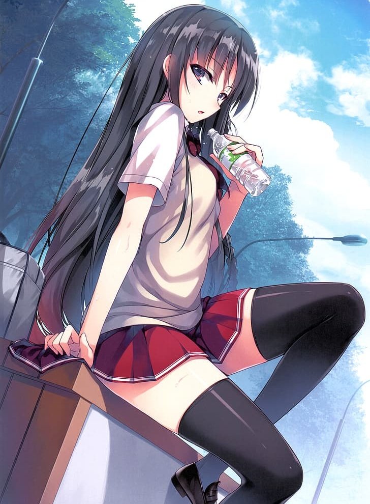 the chibi                                       the character