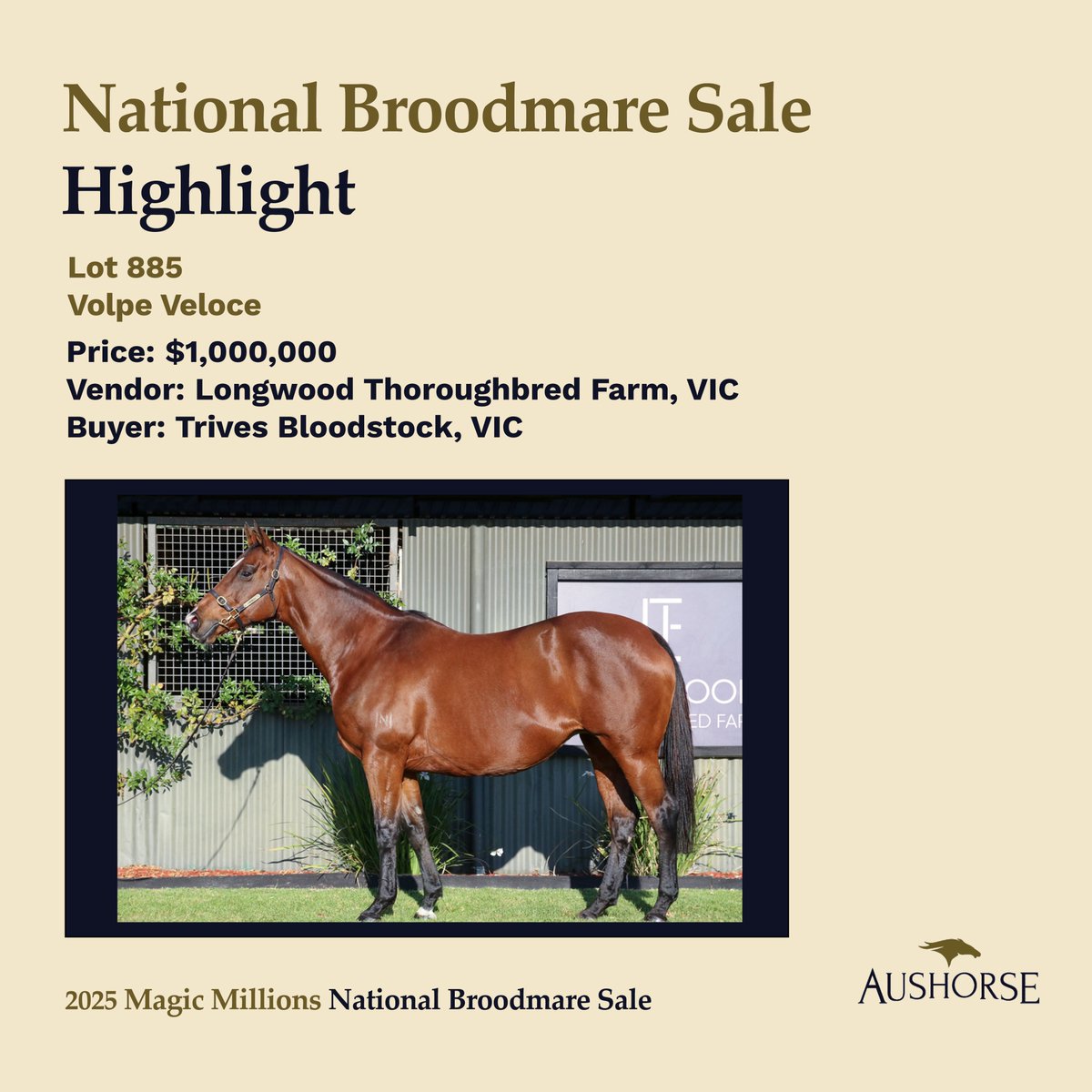 Aushorse (@aushorse_tba) on Twitter photo Lot 885 - Volpe Veloce
Sold for $1M by <a href="/LongwoodTf/">Longwood Thoroughbred Farm</a>
Purchased by Trives Bloodstock Lot 885 - Volpe Veloce
Sold for $1M by <a href="/LongwoodTf/">Longwood Thoroughbred Farm</a>
Purchased by Trives Bloodstock