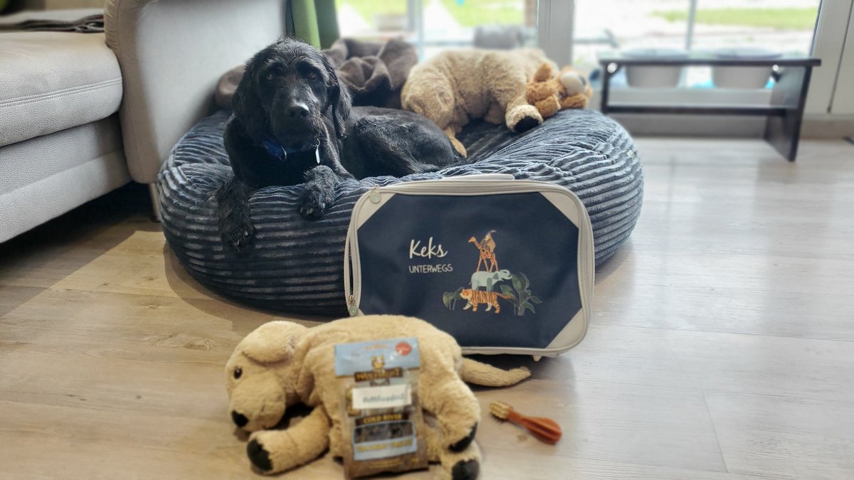 Pfreunde!!! 
Mein Köfferchen ist gepackt! Inkl. Reise Mini Bob und Zahnbürste!! (Hab ich alles von meiner Lieblings-Lola und ihren Menschen <a href="/abele_petra/">Lola & Mum</a> zum Geburtstag bekommen! 🥰)
Madame sagt, wir fahren Twitterfreunde besuchen 😳, aber sie sagt mir nicht, wen???
Wisst ihr was?