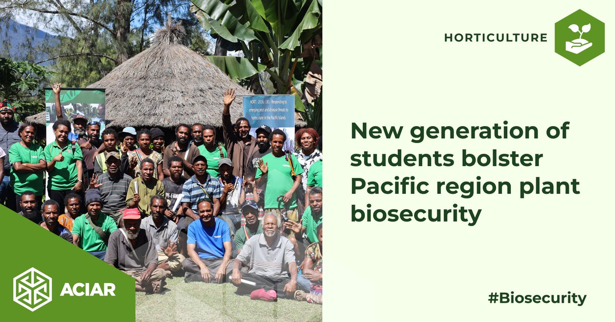 ACIAR (@aciaraustralia) on Twitter photo 🌱Agriculture faculties at <a href="/FNUFiji/">Fiji National University</a>, <a href="/uniofgka/">University of Goroka</a> & Solomon Islands National University have been collaborating under an #ACIAR-supported UQ-led project to strengthen biosecurity & plant health across the Pacific region.
Learn more: ow.ly/EXSk50VZM3O
#PWAF2025 <a href="/UQ_News/">UQ News</a> 🌱Agriculture faculties at <a href="/FNUFiji/">Fiji National University</a>, <a href="/uniofgka/">University of Goroka</a> & Solomon Islands National University have been collaborating under an #ACIAR-supported UQ-led project to strengthen biosecurity & plant health across the Pacific region.
Learn more: ow.ly/EXSk50VZM3O
#PWAF2025 <a href="/UQ_News/">UQ News</a>