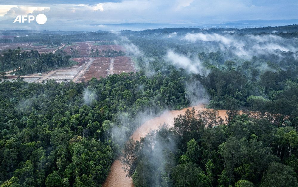 Nickel rush for stainless steel, EVs guts Indonesia tribe's forest home.

Deep in east Indonesia's lush jungle, Bokum, one of the country's last isolated hunter-gatherers, has a simple message for the nickel miners threatening his home: "This is our land"
u.afp.com/Sphb