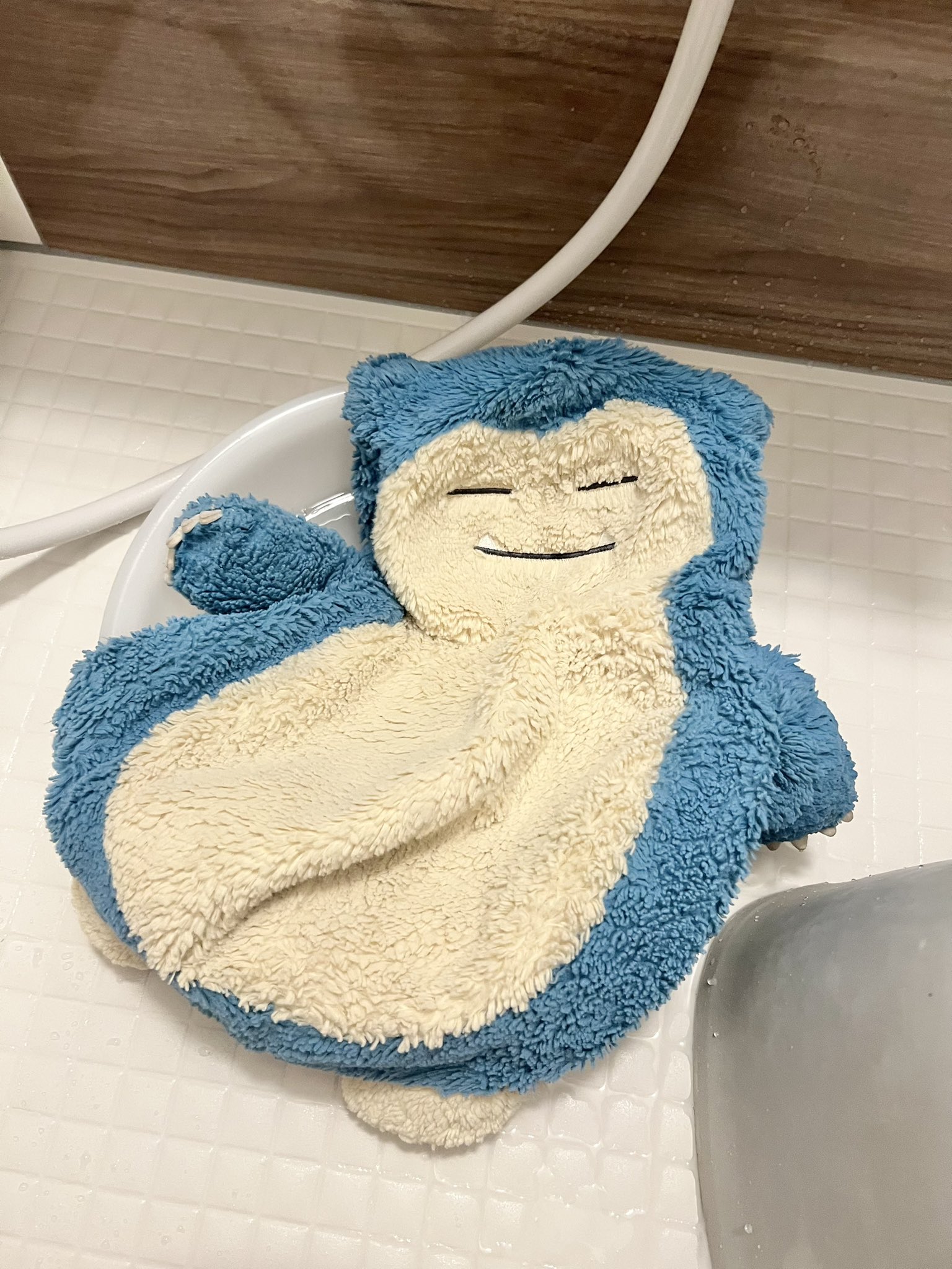 Amazon | [ポケットモンスター] スーツケース 機内持ち込み S