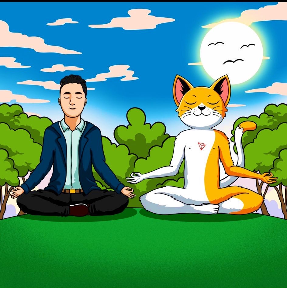 Suncat tweet media