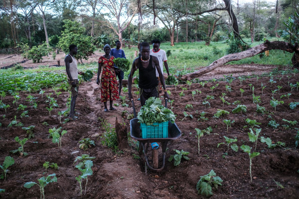CareSouthSudan's tweet photo. 🚨 4.2M people🇸🇸 risk being left behind.

CARE is responding with food &amp; cash aid, climate-smart farming, VSLAs, FFBS, youth &amp; women training, &amp; natural resource protection.

Together, we must act. No one should face hunger.
🔗 https://t.co/ZaruTnNGjT

#FoodSecurity #SouthSudan https://t.co/4AJuuPXQPa