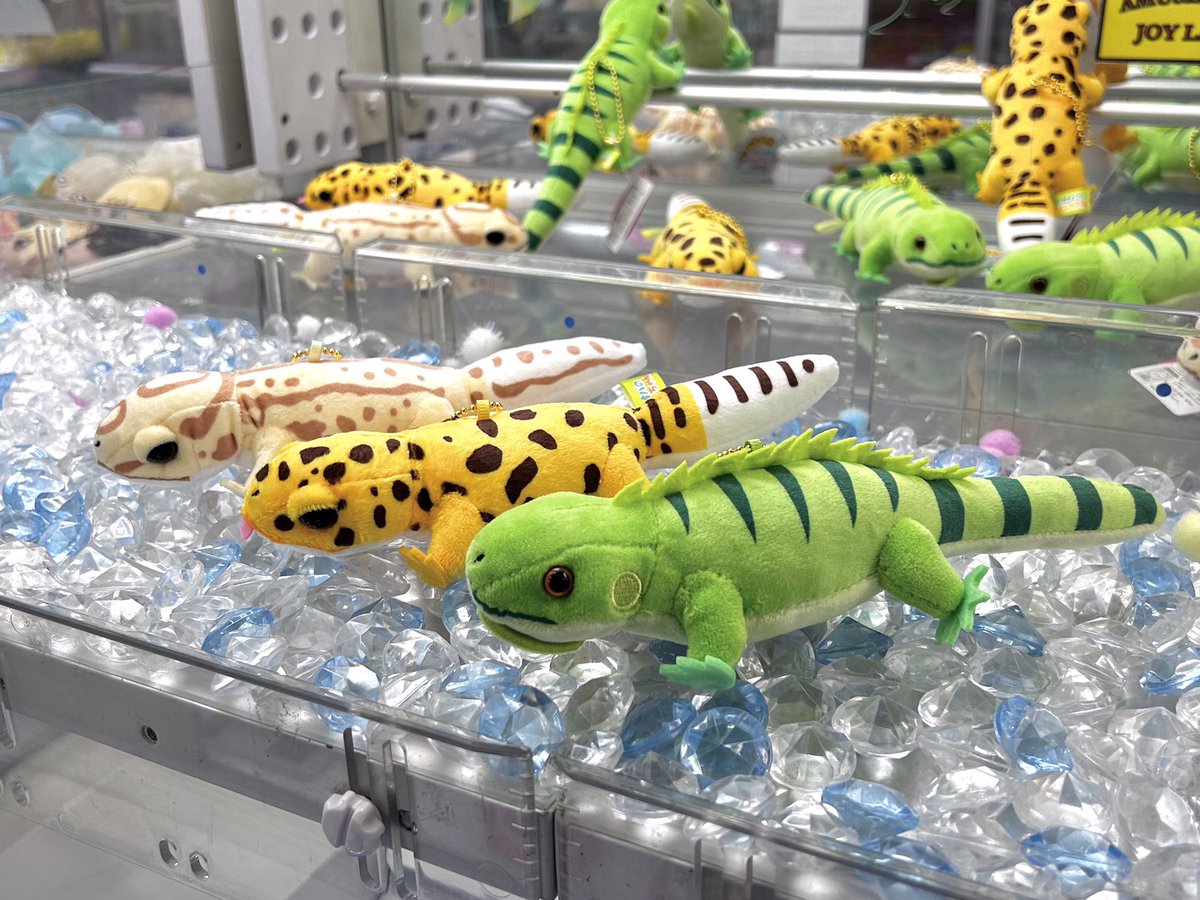 レオパのきいちゃん　なかよし BIGぬいぐるみ レオパのきいちゃん なかよし ウルトラBIGぬいぐるみ 全2種セット