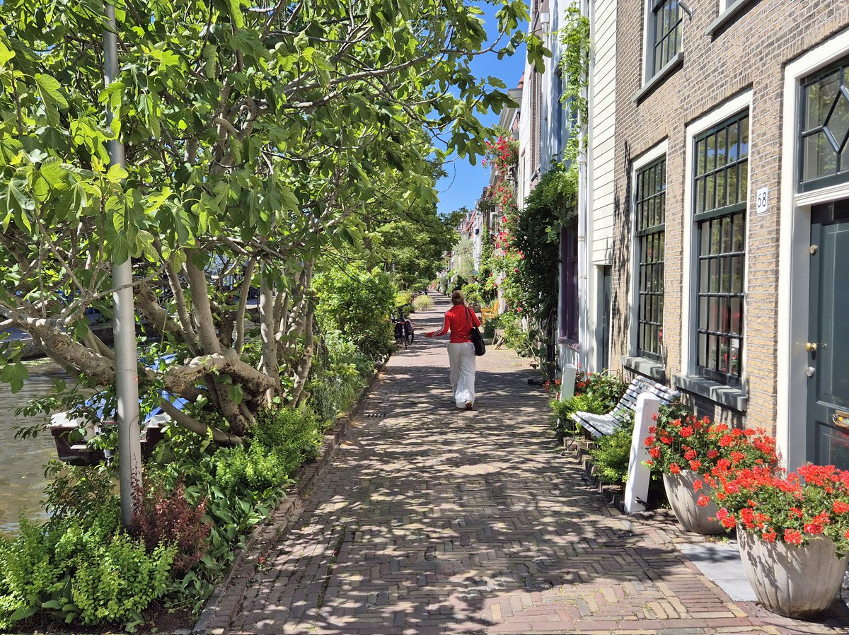 NandaSluijsmans's tweet image. #Groene🌿🌸 #kadestraatjes?!🥰 #Delft heeft ze!😃 Gewoon langs het water. Zulke mooie eerlijke straatjes.💚❤️
#Naartuurinclusieve #Stad #Leefstraatjes #RechtvaardigeStraat