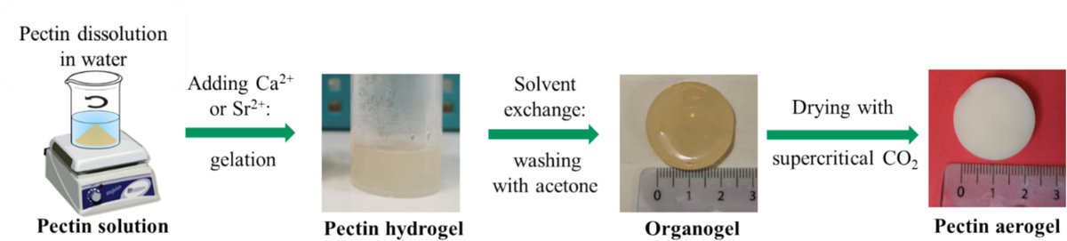 mmd_aalto's tweet image. #mmd_publications2024 International Journal of Biological Macromolecules: ‘Structure-properties correlations in low-methylated #pectin #hydrogels and #aerogels crosslinked by divalent ions'✨ @ElsevierConnect
🔗➡️ doi.org/10.1016/j.ijbi…
#mmd_aalto #aaltouniversity