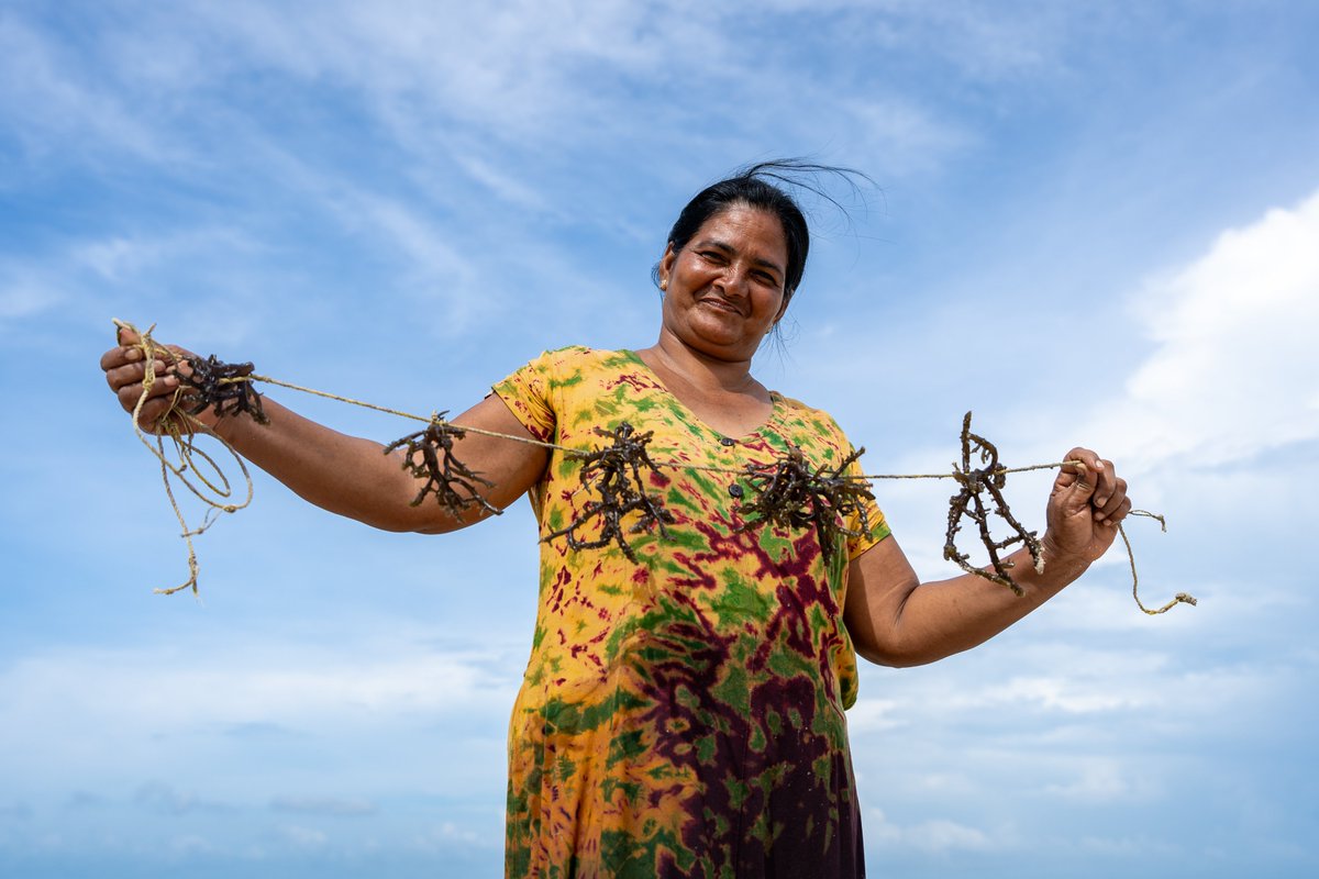 ILOColombo's tweet photo. Learn more about the GROW project focus, strategies, and impact. Press release 👉  https://t.co/siwuYWQFUM
@AusHCSriLanka @dfat  @norwayinindia @NorwayMFA https://t.co/KBCs5iYO9L