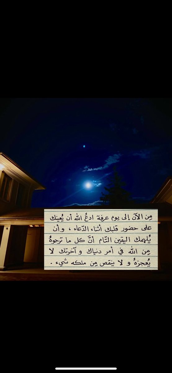 عبِير . tweet media