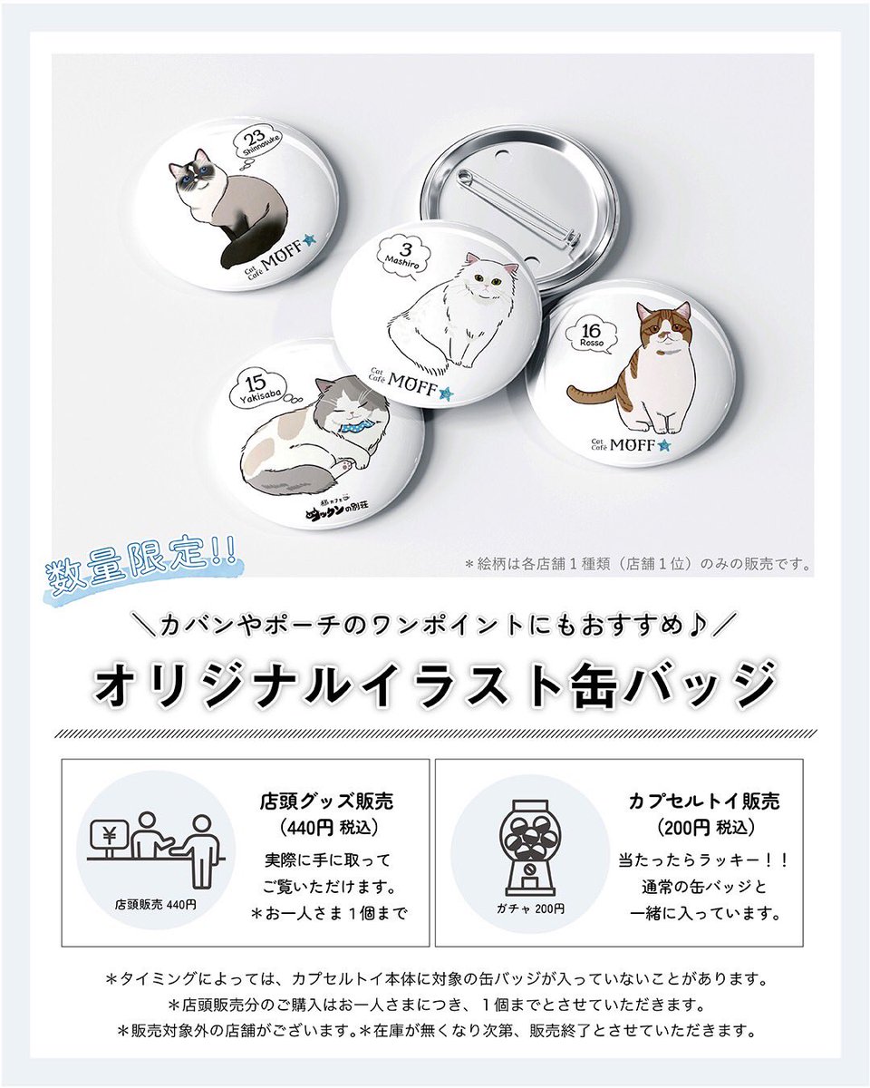 Moff animal cafeイーアスつくば店 tweet media