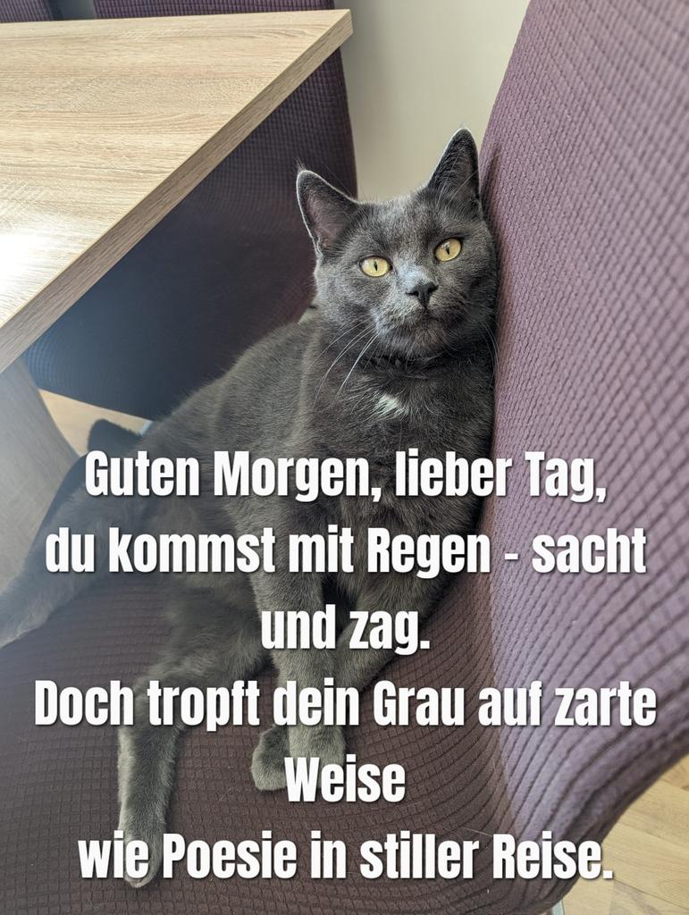 Habt einen schönen Tag. 
😘
PS. Kaffee ☕☕😘 nicht vergessen. 🤭